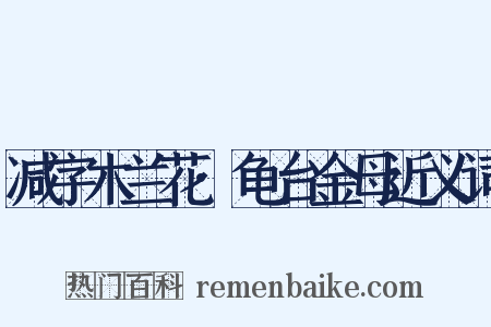 减字木兰花·龟台金母近义词是什么意思的图片